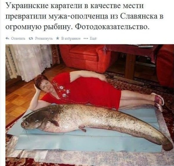 [Зображення: %D0%B7%D0%B2%D0%B5%D1%80%D1%81%D1%82%D0%B2%D0%B0.jpg]