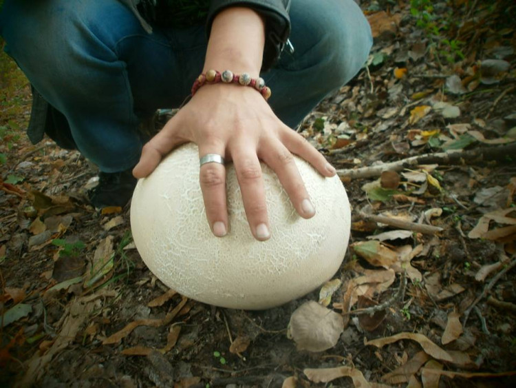 Херсонцы съели полметрового снеговика-«грибовика»