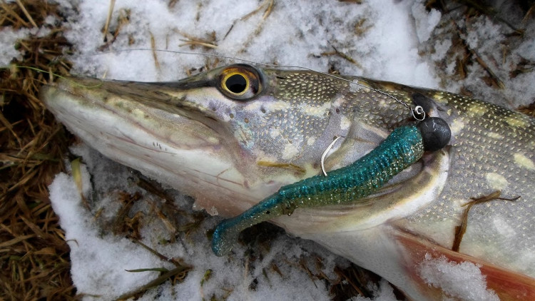 Секрети зимової риболовлі