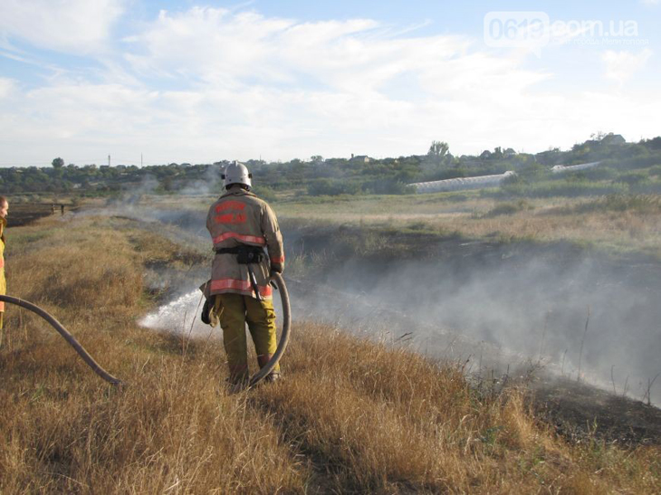 У Мелітополі дев'ять годин рятувальники гасили палаюче поле (ФОТО, ВІДЕО) - фото 1