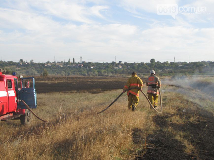 У Мелітополі дев'ять годин рятувальники гасили палаюче поле (ФОТО, ВІДЕО) - фото 2
