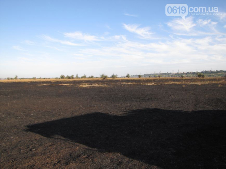 У Мелітополі дев'ять годин рятувальники гасили палаюче поле (ФОТО, ВІДЕО) - фото 5