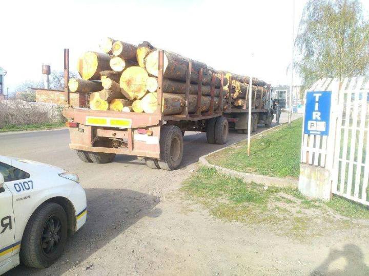 Мукачівці "здали" вантажівку з незаконною деревиною - фото 1