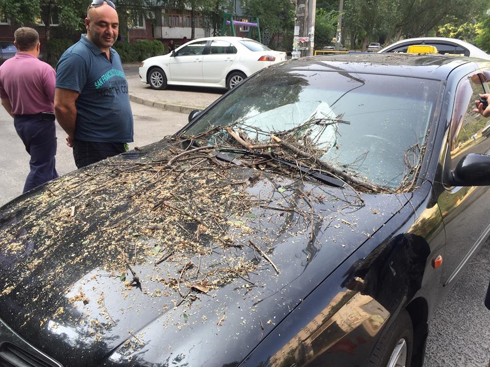 У Запоріжжі дерево впало на припарковані автівки - фото 3