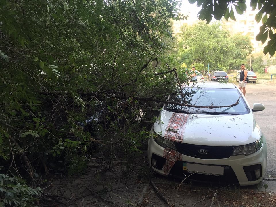 У Запоріжжі дерево впало на припарковані автівки - фото 4
