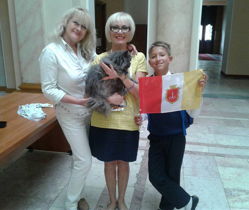 В Одесі помер найстаріший кіт України - фото 1
