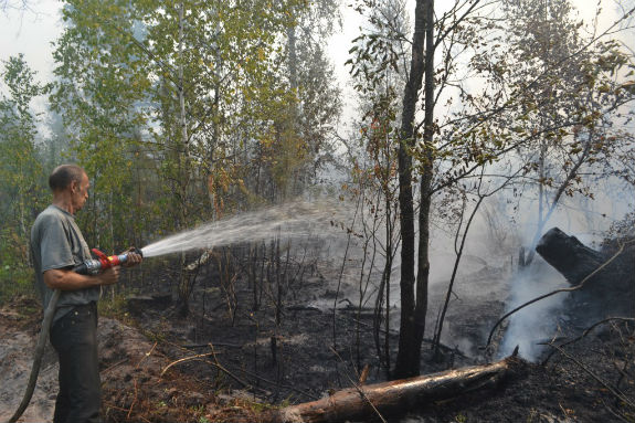 На Київщині третій день продовжують гасити лісову пожежу - фото 1