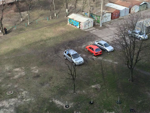 Водії-жлоби знищують зелені зони Києва  - фото 1