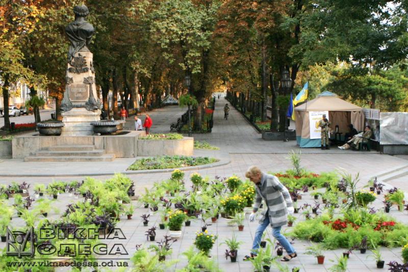 В Одесі для запобігання повторного утворення "антитруханівського майдану" Думську площу "озеленили" - фото 2