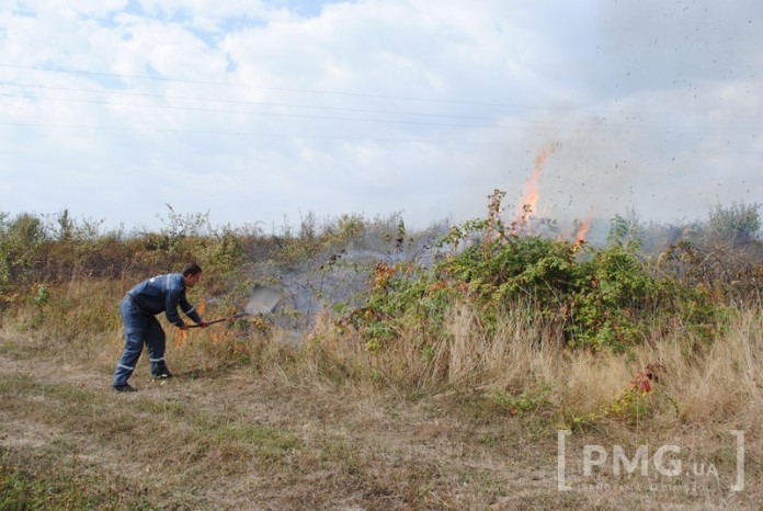 Масштабну пожежу на Мукачівщині видно з усіх навколишніх сіл - фото 1