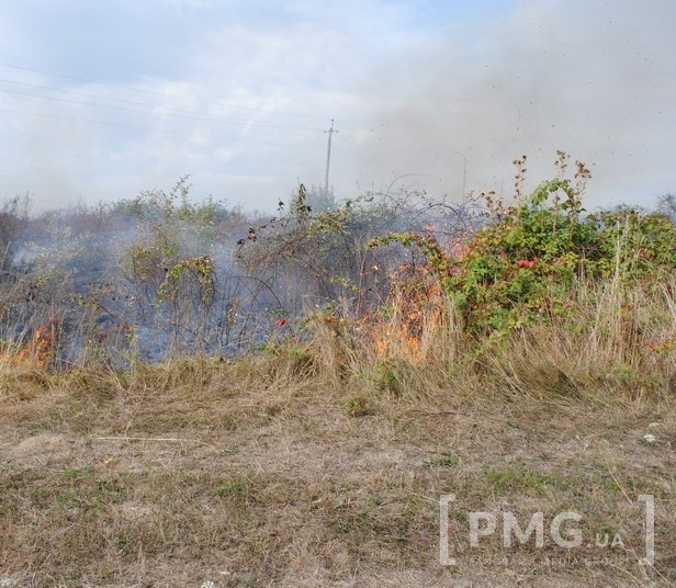 Масштабну пожежу на Мукачівщині видно з усіх навколишніх сіл - фото 2