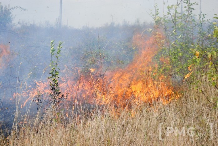 Масштабну пожежу на Мукачівщині видно з усіх навколишніх сіл - фото 3