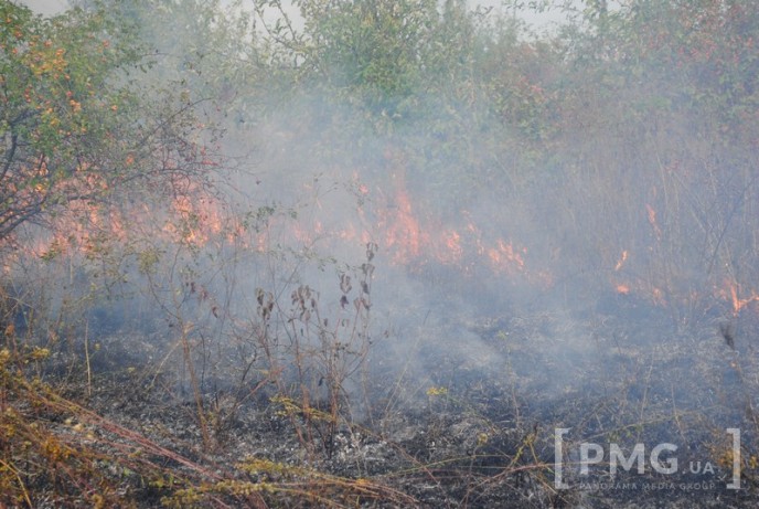 Масштабну пожежу на Мукачівщині видно з усіх навколишніх сіл - фото 4
