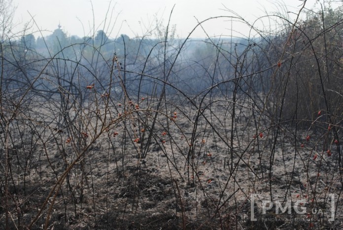 Масштабну пожежу на Мукачівщині видно з усіх навколишніх сіл - фото 5