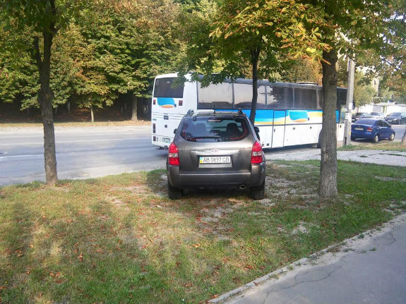 Водій з Вінниці вирішив "попасти" свого джипа на столичній траві  - фото 1