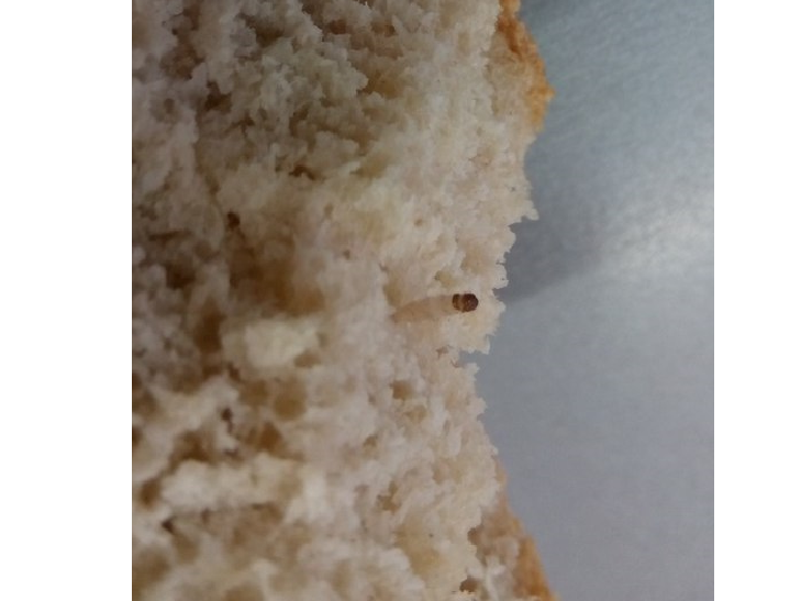 Хмельницький хлібокомбінат продає "хліб з сюрпризами" - фото 1