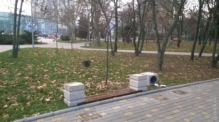 Вандали знищують парк Перемоги в Одесі - фото 1