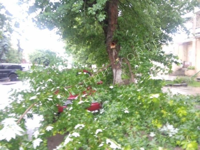 В Ужгороді дощ повалив величезну гілку на автомобіль - фото 1