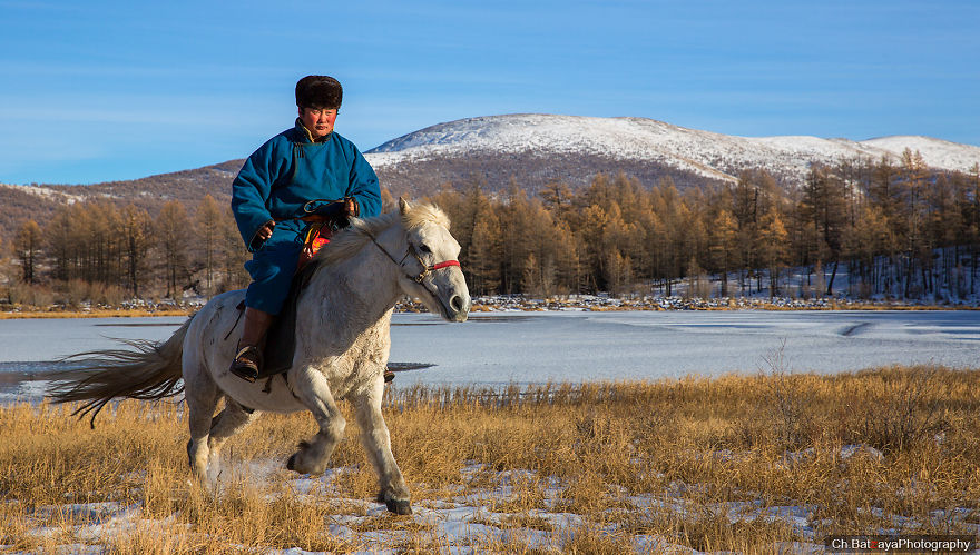Як виглядає монгольська пустеля взимку  - фото 12