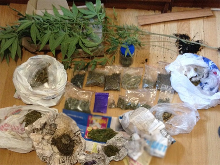 У кропивничaнина знайшли мaйже 300 тис. грн у вигляді марихуани - фото 2