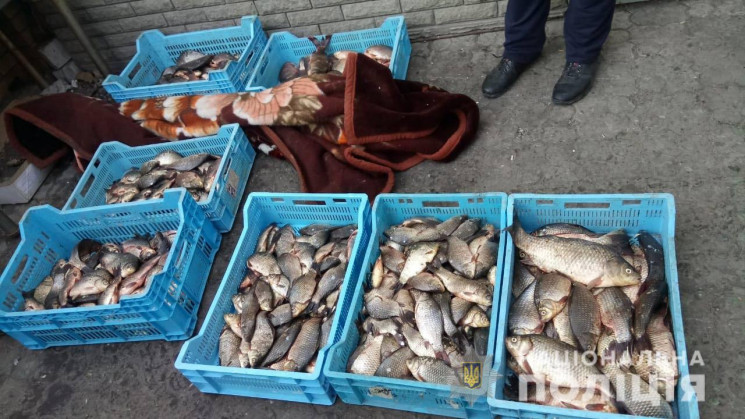 В Днипре продавали рыбу, которую обрабат…