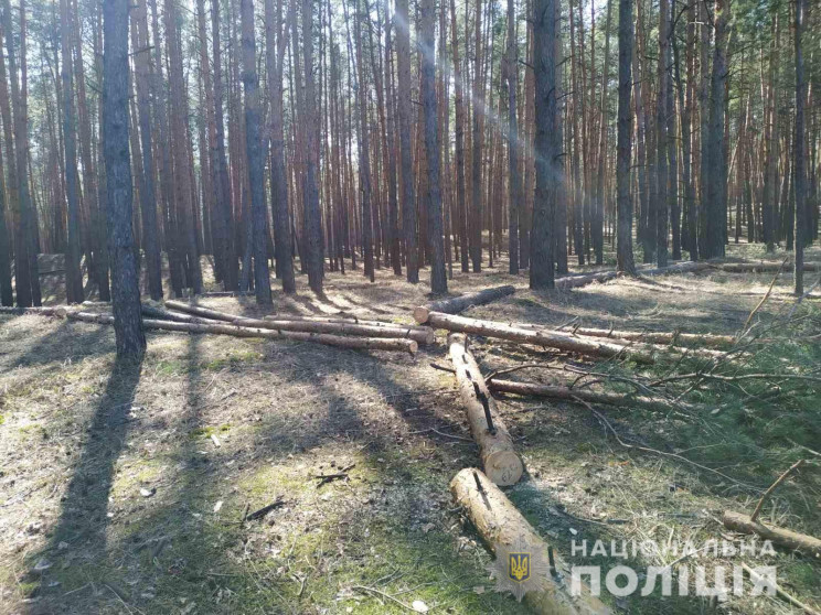 У лісі на Харківщині схопили браконьєра…
