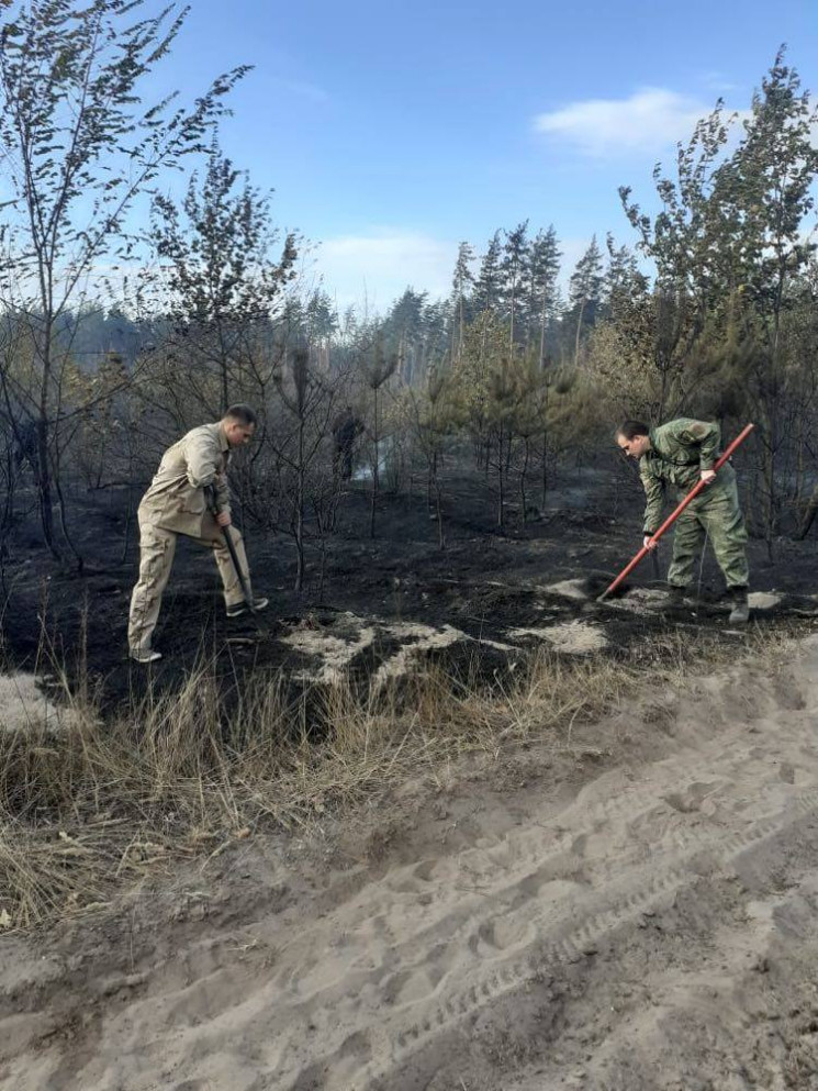 В мережі показали згарища біля Старобіль…