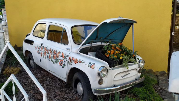 У Трускавці висаджують квіти в автомобіл…