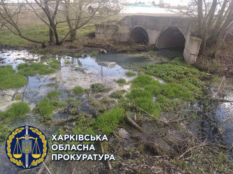 На Харківщині колонія забруднює річку ст…