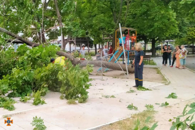 В Днепре огромное дерево упало на детску…