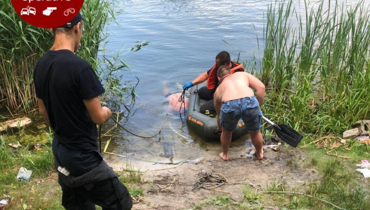 У Києві в Парку Партизанської слави знай…