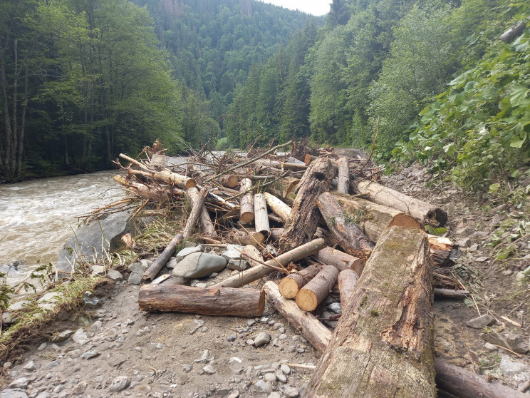 На Прикарпатті вода знищила дорогу до Бу…