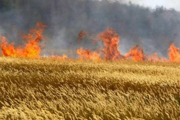 На Тернопільщині горіло збіжжя в полі…