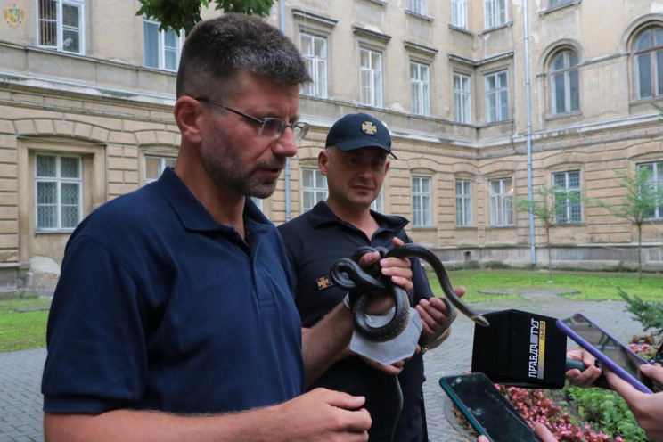 Спеціалісти розповіли, як поводитися, як…