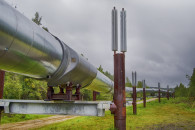 Беларусь частично перекрыла нефтепровод…