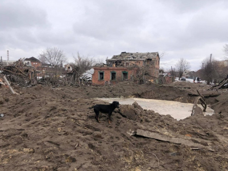 Рашисти завдали авіаудару по селах Охтир…