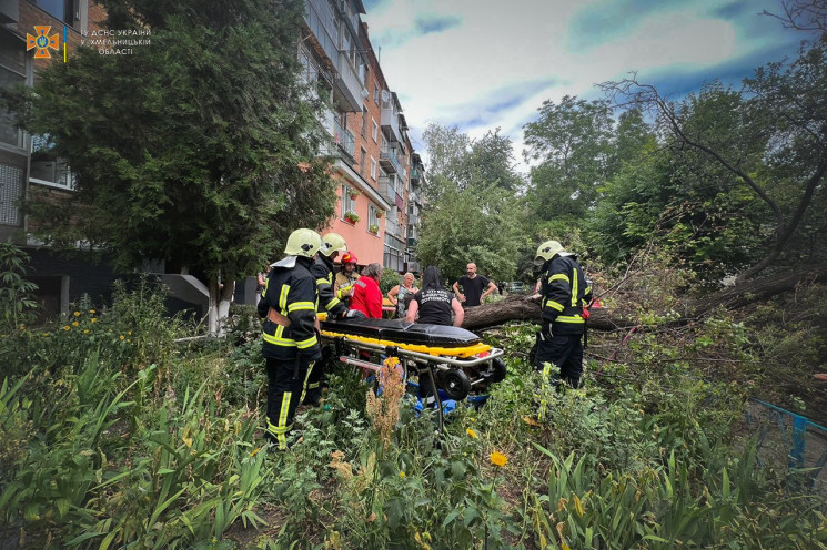 На Хмельниччині повалене буревієм дерево…