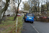 Негода у Дніпрі валила дерева і зривала…