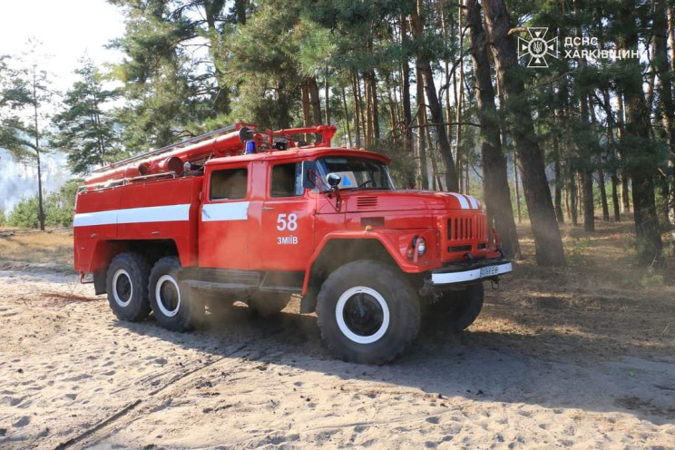 В Харьковской области пылает более 200 г…