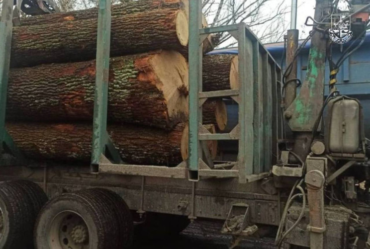 Група зловмисників здійснила незаконну в…