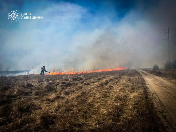 Минулої доби на Львівщині відбулося 169…