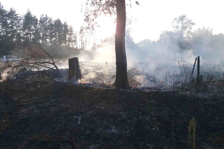 Неподалік Кременчука на Полтавщині третю…