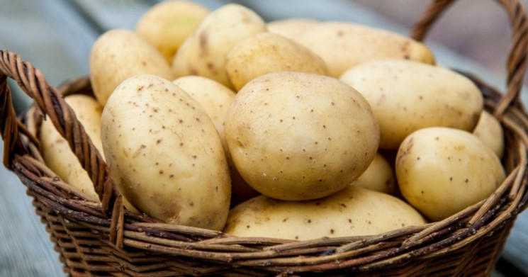 На Львівщині зменшили виробництво картоп…