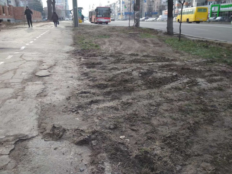 На Київській будівельники зіпсували зеле…