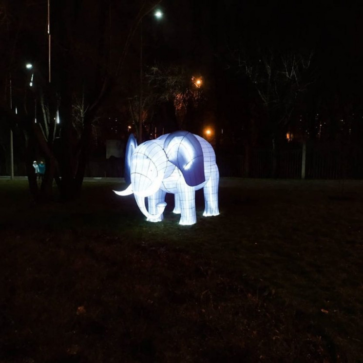 В парк Днепра завезли животных с подсвет…