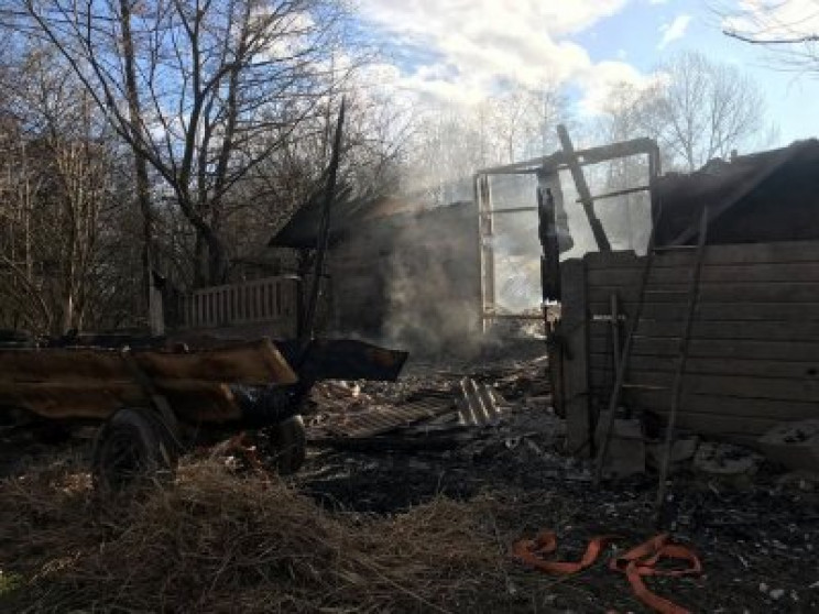 На Калущині у стайні згоріли 19 тварин…